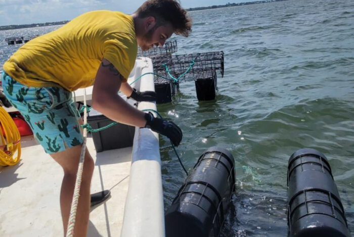 harvest intern supporting aquaculture industry