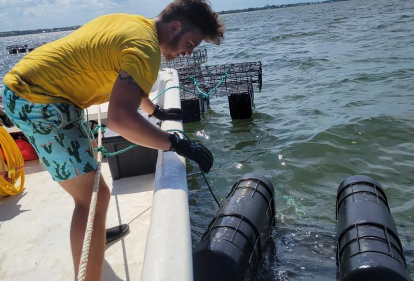 harvest intern supporting aquaculture industry