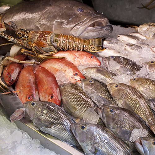 seafood on ice for sale