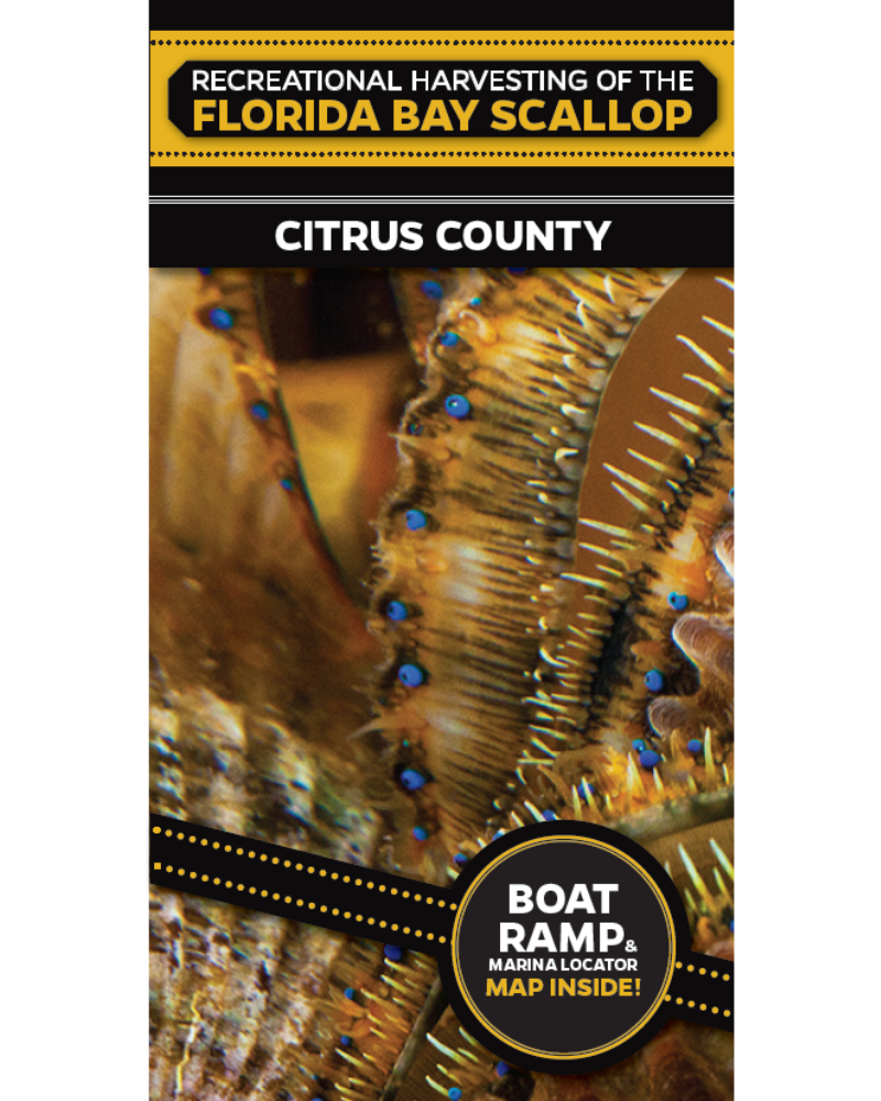 Scalloping Brochure Citrus County