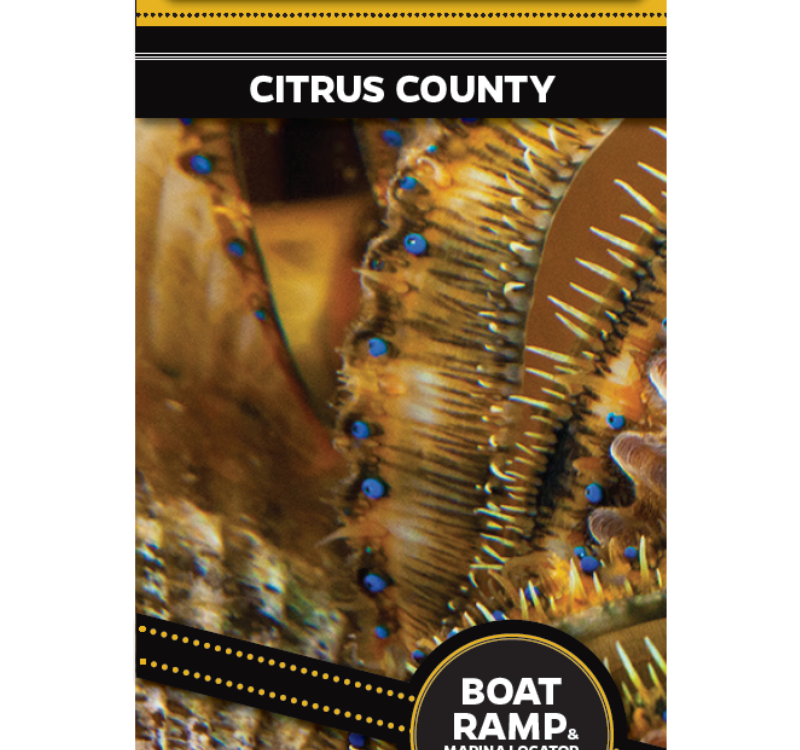 Scalloping Brochure Citrus County