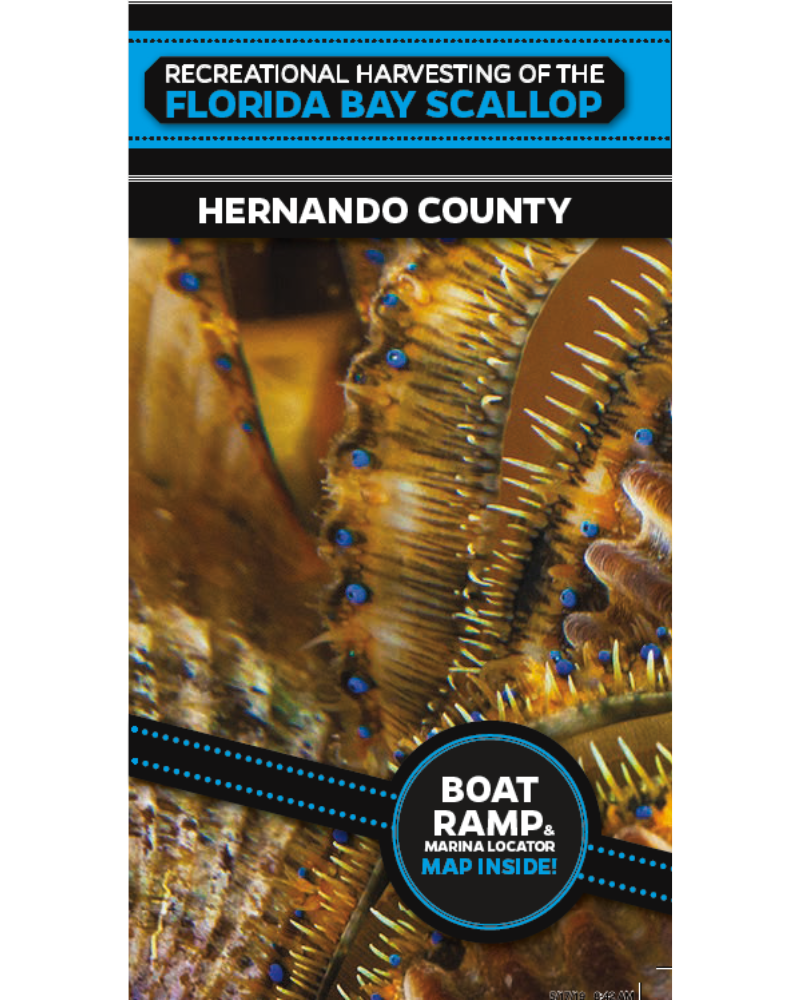 Scalloping Brochure Hernando County