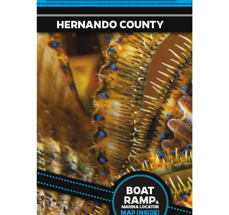 Scalloping Brochure Hernando County