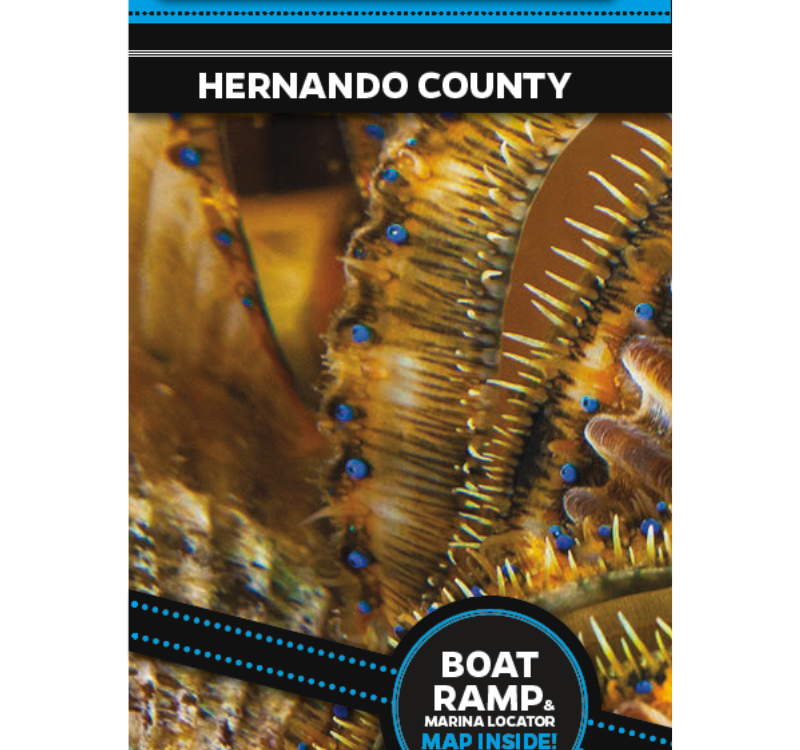 Recreational Harvesting of the Florida Bay Scallop Hernando County