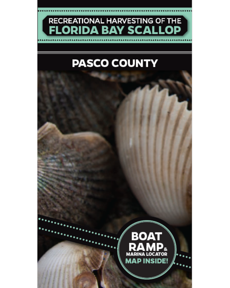 Pasco County Scalloping Brochure