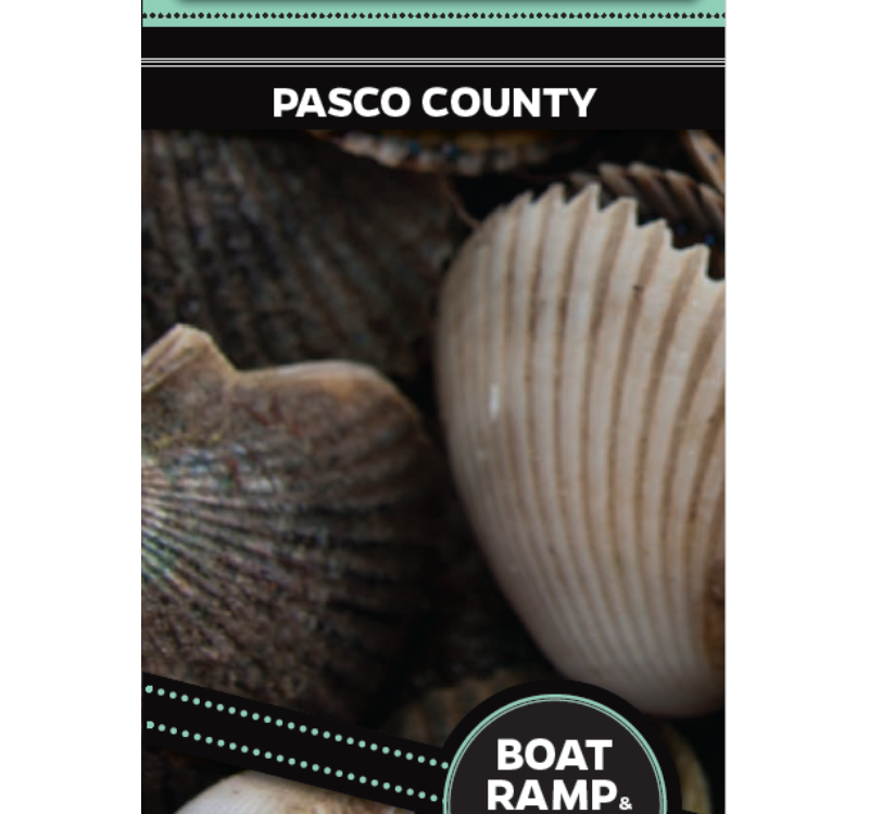 Pasco County Scalloping Brochure