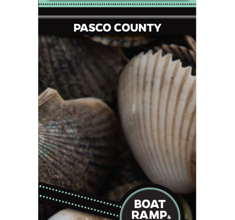 Recreational Harvesting of the Florida Bay Scallop Pasco County