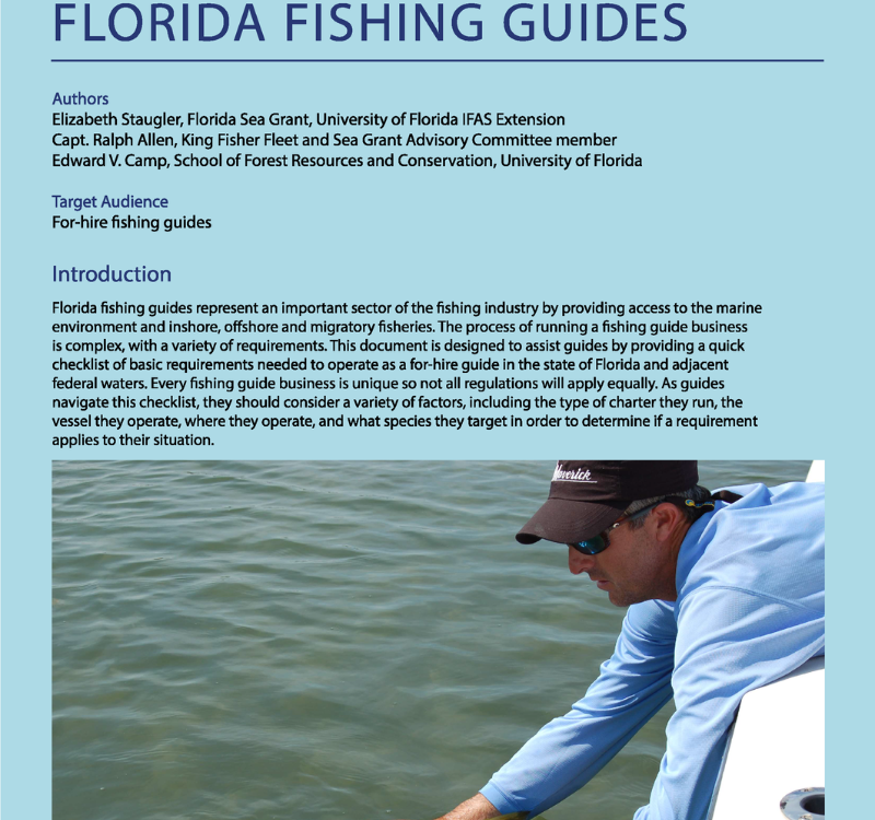 Basic Requirements For Florida Fishing Guides
