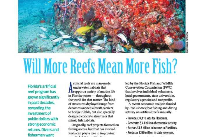Will More Reefs Mean More Fish?