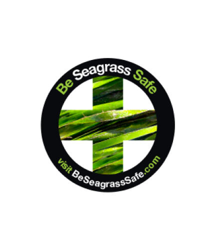 be_seagrass_safe