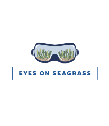 eyes_on_seagrass