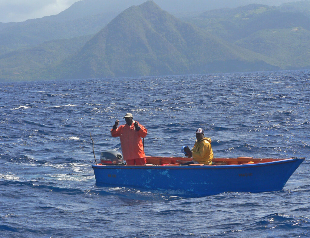 Evaluating FAD Fishing Practices on Dominica To Inform CoManagement of