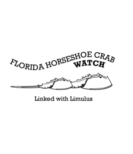 fl_horseshoe_crab_watch