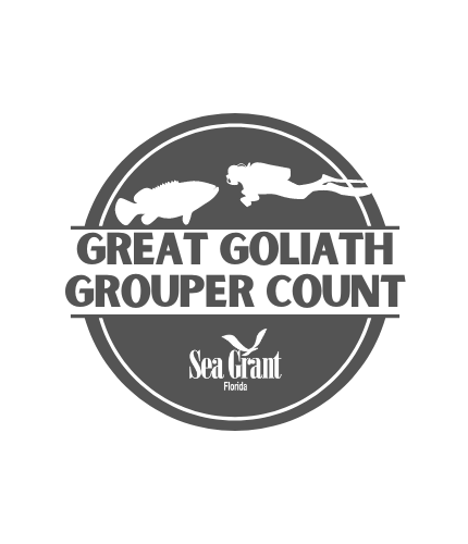 great_goliath_grouper_count