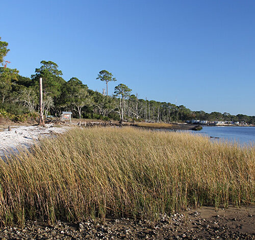 living shorelines project at nature reserve