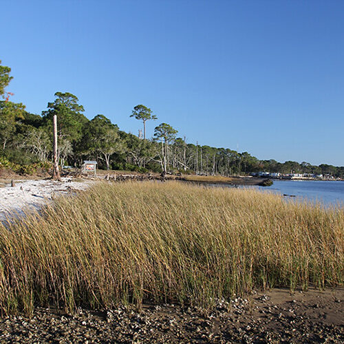 living shorelines project at nature reserve