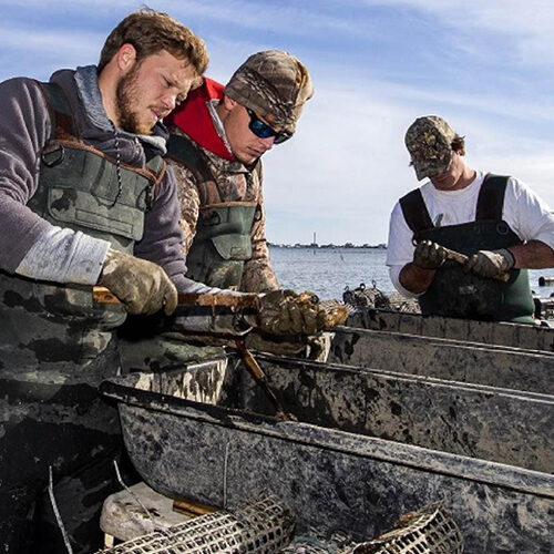 three oyster farmers shuck their harvest aboard a vessel