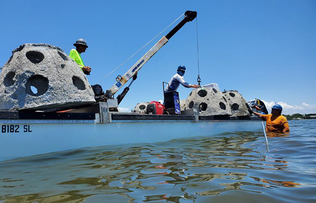 Contractors work to install concrete domes that form the basis of an oyster reef