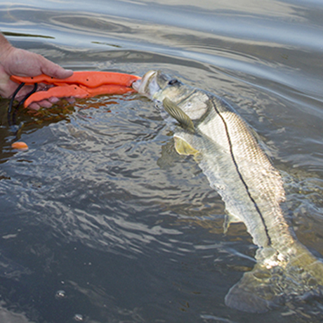 Resources for Recreational Fishing in U.S. Federal Water