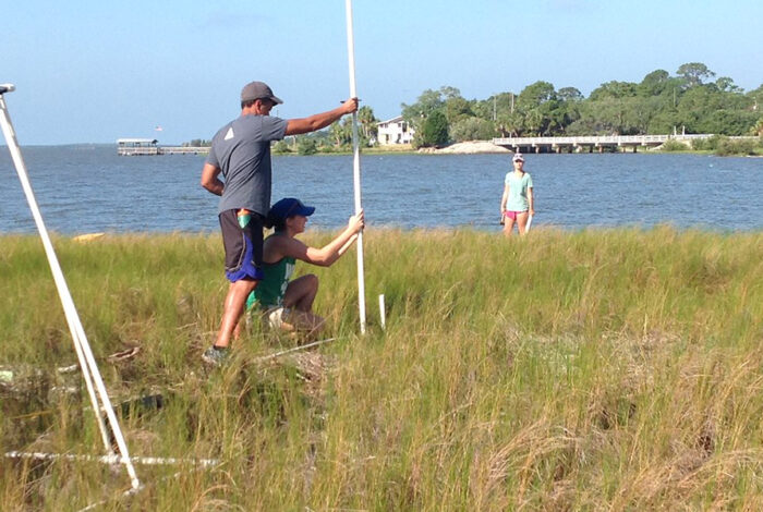 living shorelines monitoring