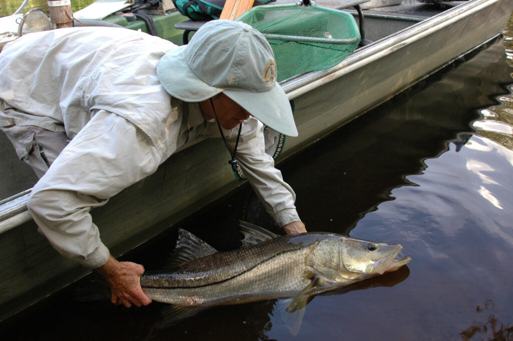 A Guide to Releasing Reef Fish Suffering from Barotrauma Florida Sea