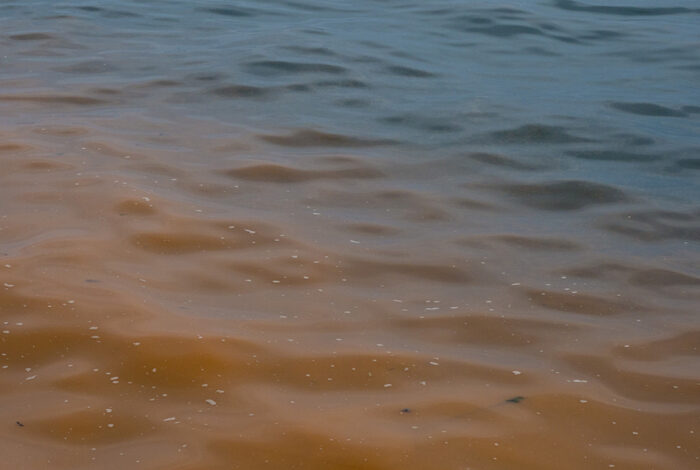 red tide phenomenon on a blue sea