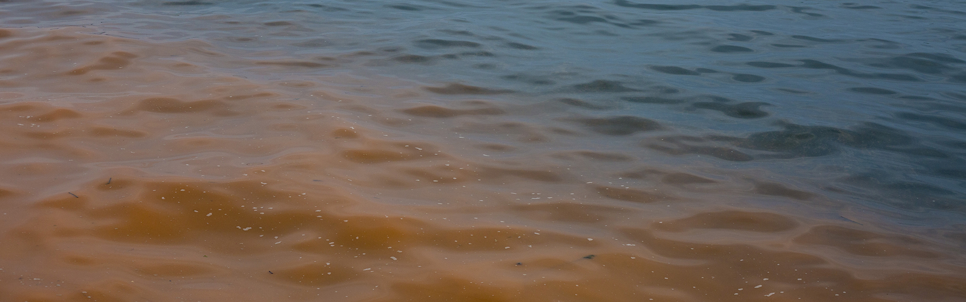 red tide phenomenon on a blue sea