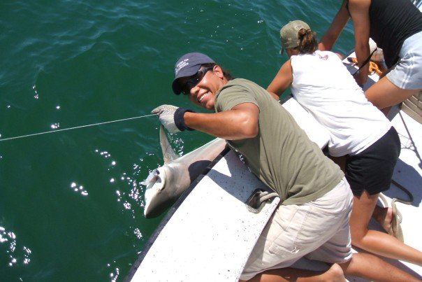 agent pulling shark on vessel