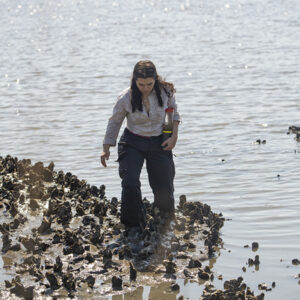 student walking amongst an oyster bar with field sample in hand