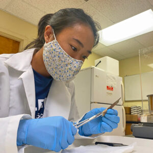 student researcher cutting fish fin in lab setting