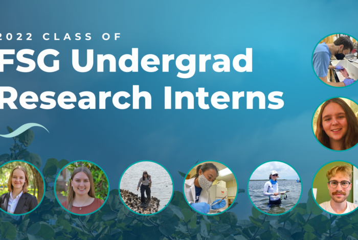 graphic with the title 2022 class of FSG Undergrad Research Interns, with eight student headshots within