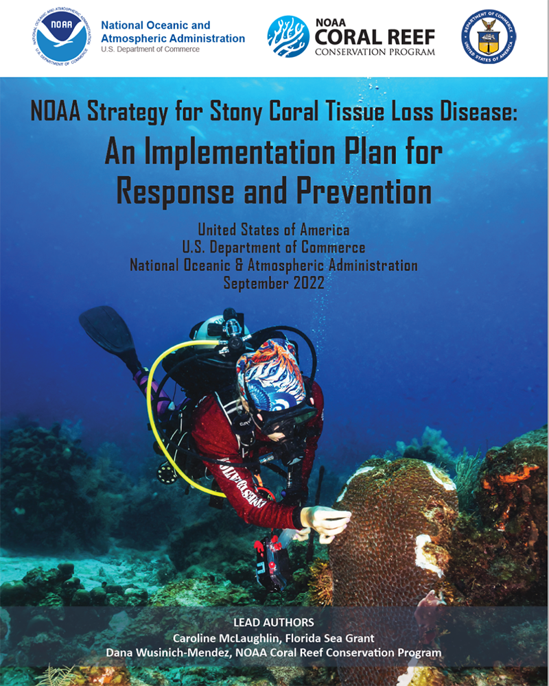 cover of the NOAA Strategy for Stony Coral Tissue Loss Disease: An Implementation Plan for Response and Prevention