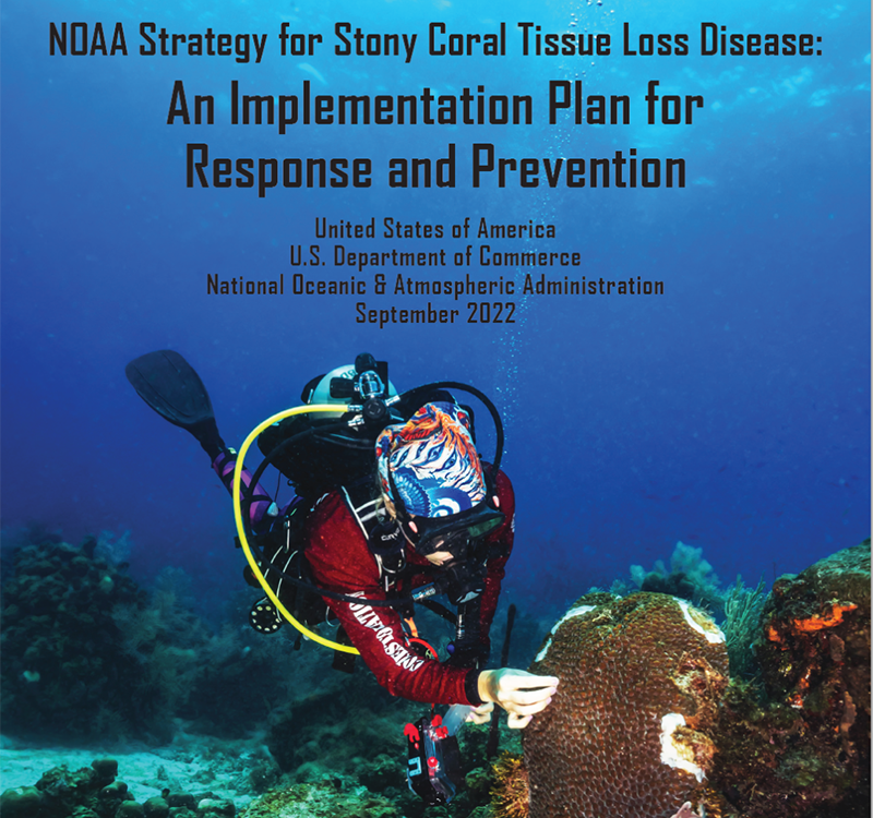 cover of the NOAA Strategy for Stony Coral Tissue Loss Disease: An Implementation Plan for Response and Prevention