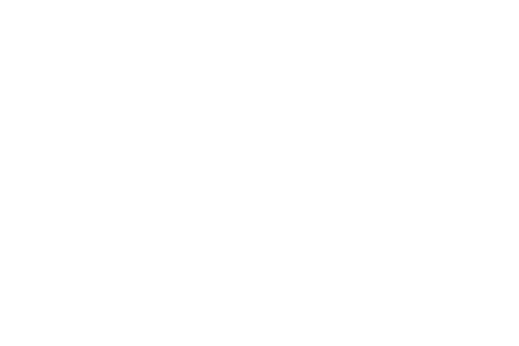 volunteer florida logo