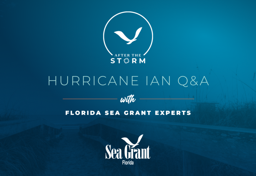 hurricane ian q&a with florida sea grant experts event graphic