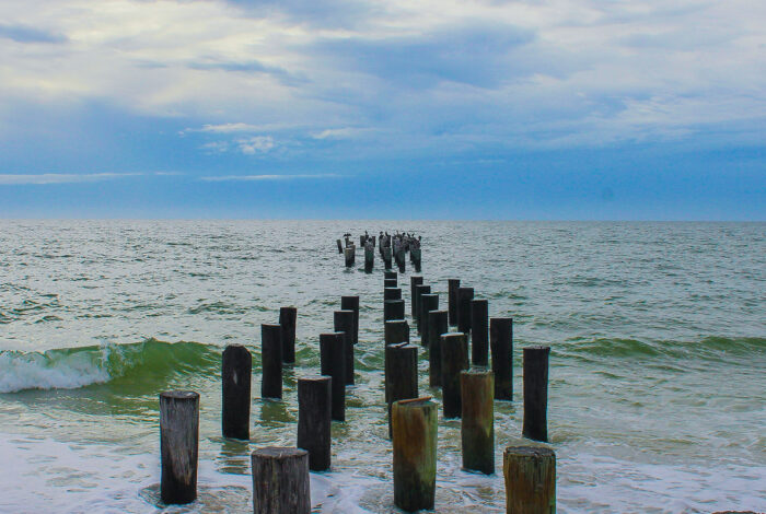 old pilings of a florida beach pier
