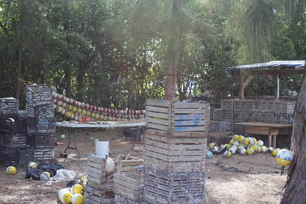 Stack of crab traps