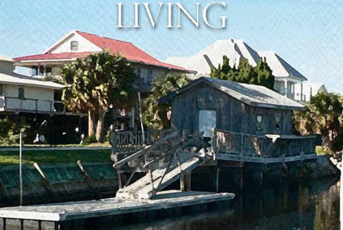 cover of 'A Practical Guide to Estuary-Friendly Living' book