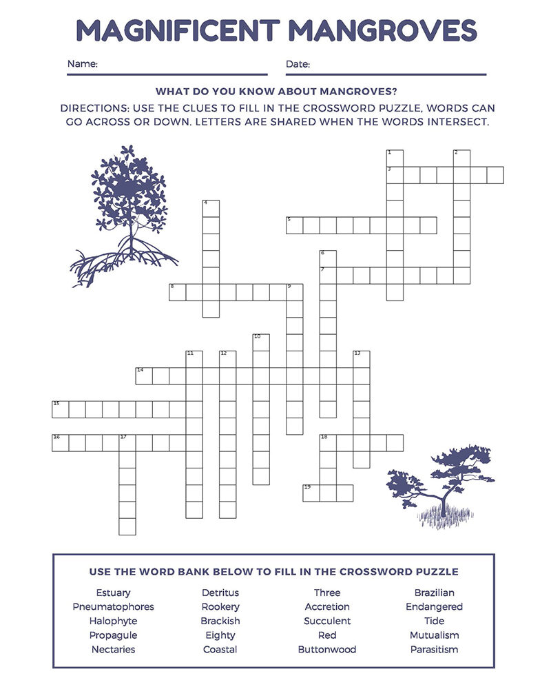 crossword activity on the topic of mangroves