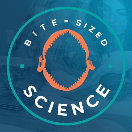 bite-sized science badge