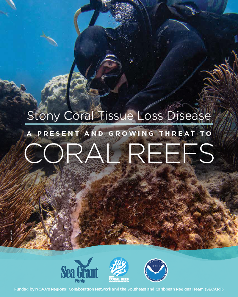 cover of the Prospectus for Stony Coral Tissue Loss Disease: A Present and Growing Threat to Coral Reefs