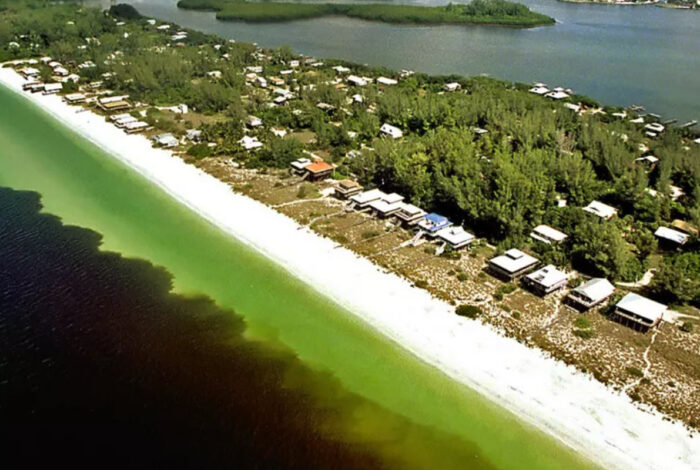 dark red tide bloom observed off of Florida coast