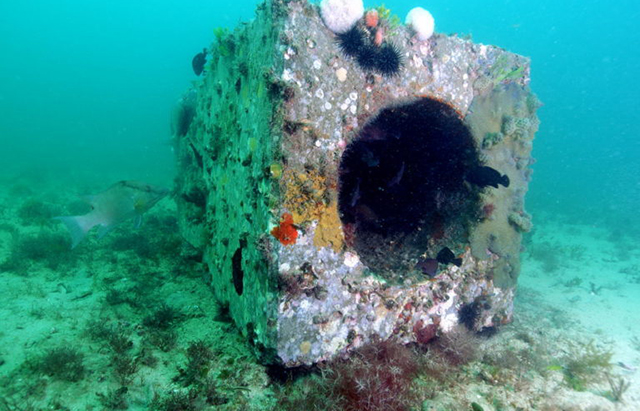 underwater artificial reef