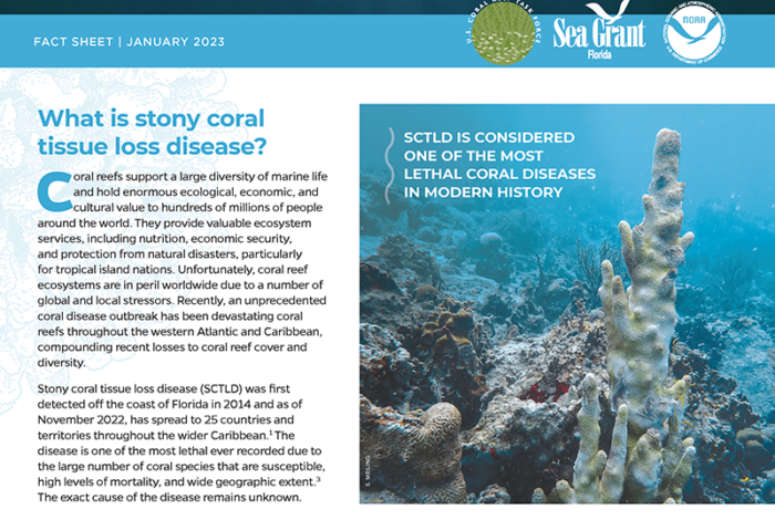 cover image of the SCTLD Transmission Fact Sheet