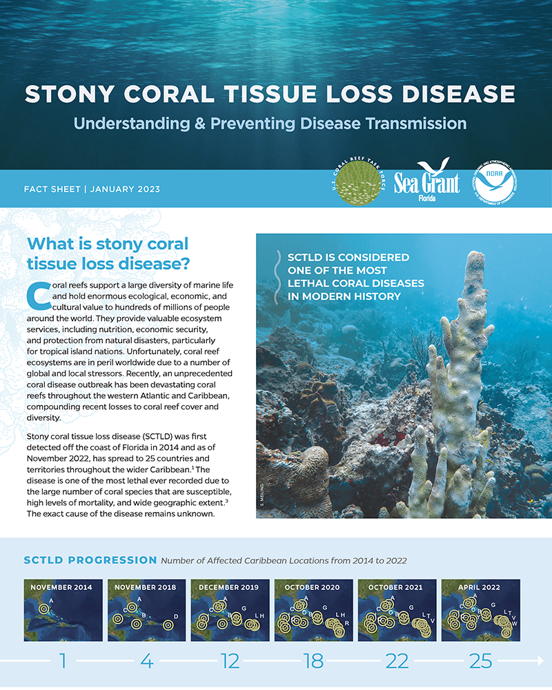 cover image of the SCTLD Transmission Fact Sheet