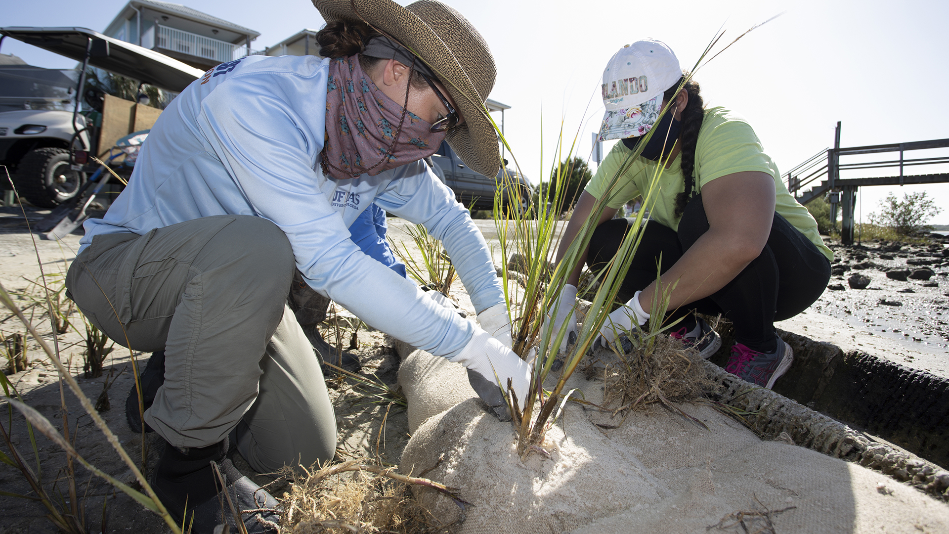 Volunteers planting saltmeadow cord grass in the sand as part of a living shoreline project