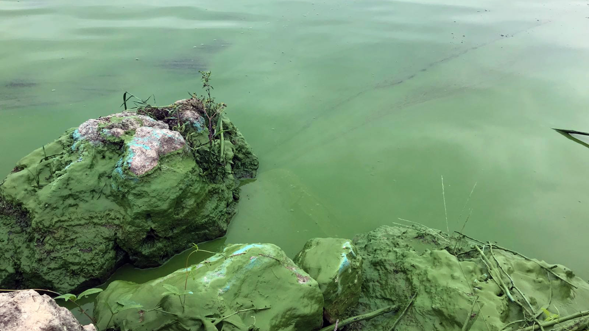 2023 Florida BlueGreen Algae State of the Science Symposium Florida