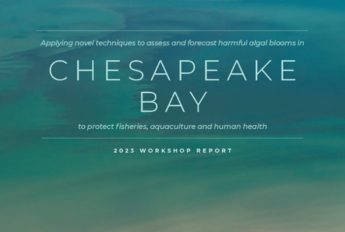cover of Chesapeake Bay 2023 Workshop Report