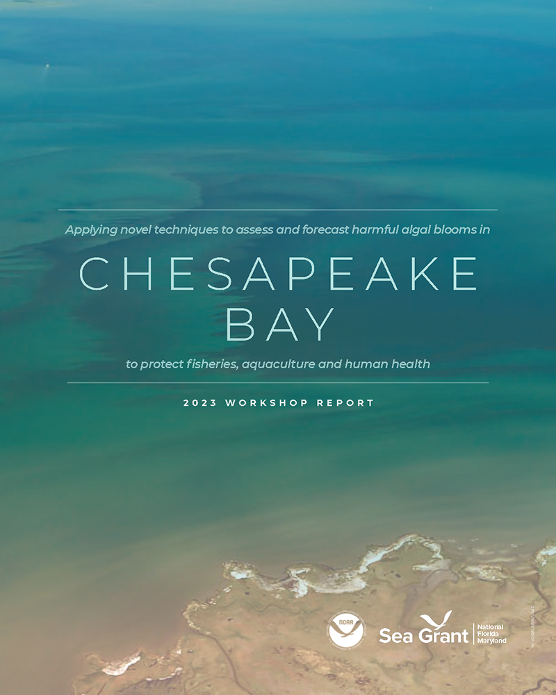 cover of Chesapeake Bay 2023 Workshop Report