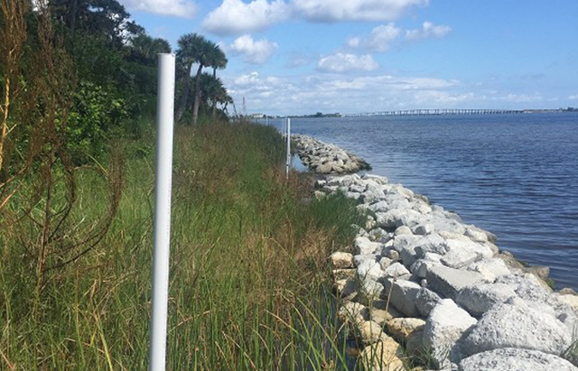 Florida coastline with a breakwater protecting vegetation